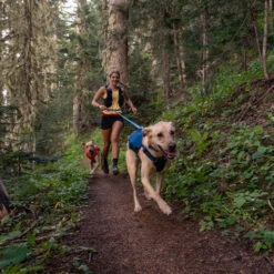 Ruffwear Roamer Leash - Blue Atoll -Hundebedarfs Geschäft ruffwear roamer leash blue atoll 204797 0500 none