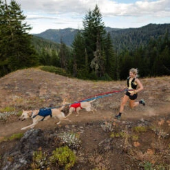 Ruffwear Roamer Leash - Blue Atoll -Hundebedarfs Geschäft ruffwear roamer leash blue atoll 204800 0500 none