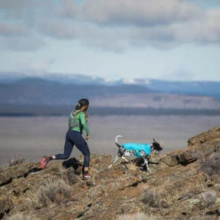 Ruffwear Wind Sprinter Jacket -Hundebedarfs Geschäft ruffwear wind sprinter jacket 124694 0500 none