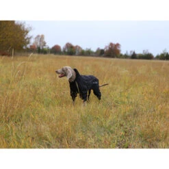 RukkaPets Protect Overall -Hundebedarfs Geschäft rukkapets protect overall zwart 216401 0500 none