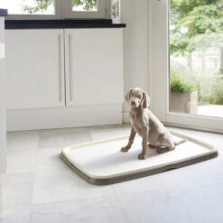 Savic Puppy Trainer + Pads -Hundebedarfs Geschäft savic puppy trainer pads 163498 0500 none