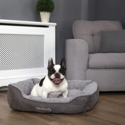 Scruffs Cosy Box Bett -Hundebedarfs Geschäft scruffs cosy box bed 209468 0500 none