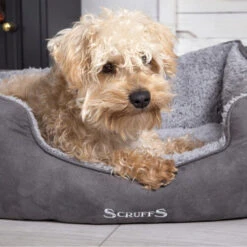 Scruffs Cosy Box Bett -Hundebedarfs Geschäft scruffs cosy box bed 209483 0500 none