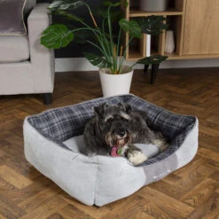 Scruffs Highland Box Bed 17 Scruffs Highland Box Bed -Hundebedarfs Geschäft scruffs highland box bed 190834 0500 none