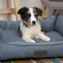 Scruffs Manhattan Box Bett -Hundebedarfs Geschäft scruffs manhattan box bed 209507 0500 none