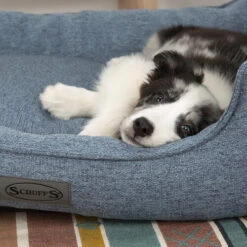 Scruffs Manhattan Box Bett -Hundebedarfs Geschäft scruffs manhattan box bed 209510 0500 none