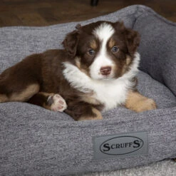 Scruffs Manhattan Box Bett -Hundebedarfs Geschäft scruffs manhattan box bed 209513 0500 none