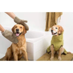 Siccaro DryGlove -Hundebedarfs Geschäft siccaro dryglove 196901 0500 none