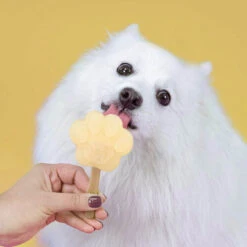 Smoofl Hundeeis Starter Kit 19 Smoofl Hundeeis Starter Kit -Hundebedarfs Geschäft smoofl dog ice starter kit 195155 0500 none