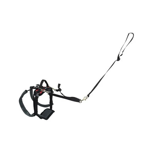 PetSafe Carelift - Tragesystem / Tragegeschirr Für Hunde 7 PetSafe Carelift - Tragesystem / Tragegeschirr Für Hunde – Bild 5