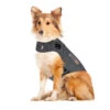 Thundershirt Für Hunde -Hundebedarfs Geschäft thundershirt hond 215942 0500 none