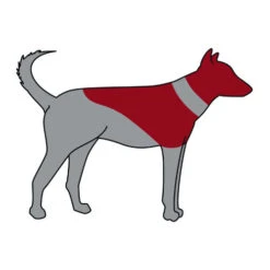 Trixie Aufblasbare Halskrause -Hundebedarfs Geschäft trixie opblaasbare beschermkraag 101866 0500 none