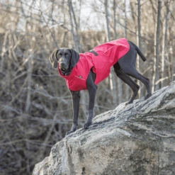 Trixie Regenjacke Vimy -Hundebedarfs Geschäft trixie regenjas vimy 204854 0500 none