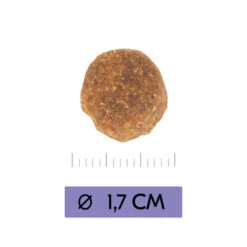 Vetality Adult Maxi - Hundefutter -Hundebedarfs Geschäft vetality adult maxi hondenvoer 213656 0500 none