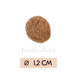 Vetality Gastrointestinal - Hundefutter -Hundebedarfs Geschäft vetality gastrointestinal hondenvoer 195449 0500 none