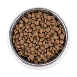 Vetality Hypoallergenic - Hundefutter -Hundebedarfs Geschäft vetality hypoallergenic hondenvoer 195278 0500 none
