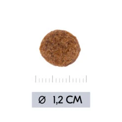 Vetality Hypoallergenic - Hundefutter -Hundebedarfs Geschäft vetality hypoallergenic hondenvoer 195473 0500 none