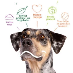 Yarrah - Bio Trockenfutter Vega Getreidefrei -Hundebedarfs Geschäft yarrah bio droogvoer hond vega graanvrij 201212 0500 none