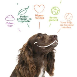 Yarrah - Hundefutter In Soße Vega Mit Hagebutten Bio -Hundebedarfs Geschäft yarrah bio natvoer hond kuipje chunks vega 200843 0500 none