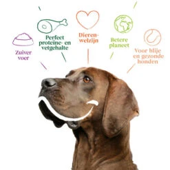 Yarrah - Trockenfutter Sensitiv Mit Huhn Und Reis Bio 9 Yarrah - Trockenfutter Sensitiv Mit Huhn Und Reis Bio -Hundebedarfs Geschäft yarrah droogvoer hond sensitive bio 199148 0500 none