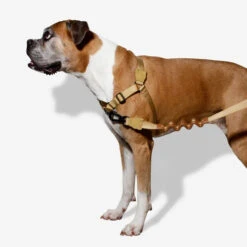 Zee.Dog Soft Walk Harness -Hundebedarfs Geschäft zeedog soft walk harness 200678 0500 none