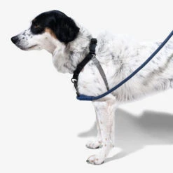 Zee.Dog Soft Walk Harness -Hundebedarfs Geschäft zeedog soft walk harness 200684 0500 none