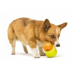 Zogoflex Toppl - Treat Toy 17 Zogoflex Toppl - Treat Toy -Hundebedarfs Geschäft zogoflex toppl treat toy 219464 0500 none