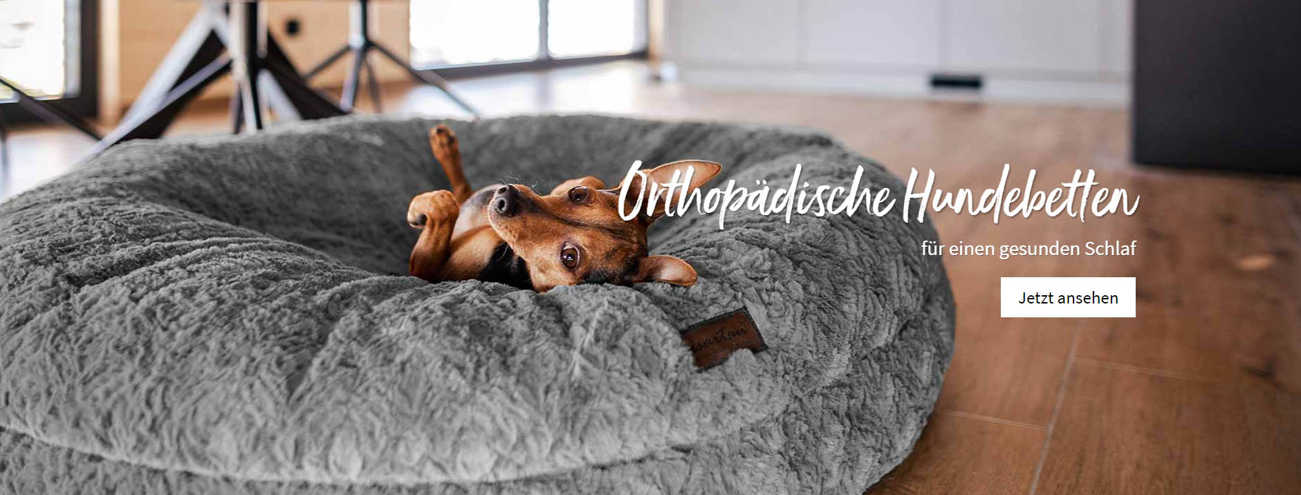 Hundebedarfs Geschäft -Hundebedarfs Geschäft fghjfgj