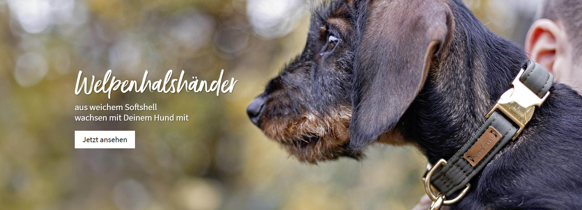 Hundebedarfs Geschäft -Hundebedarfs Geschäft hjk